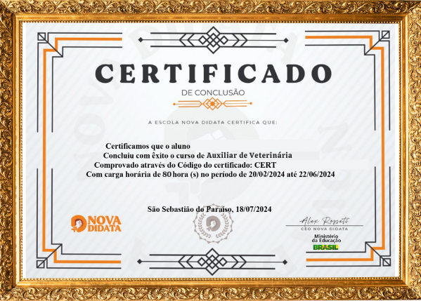 Exemplo de Certificado